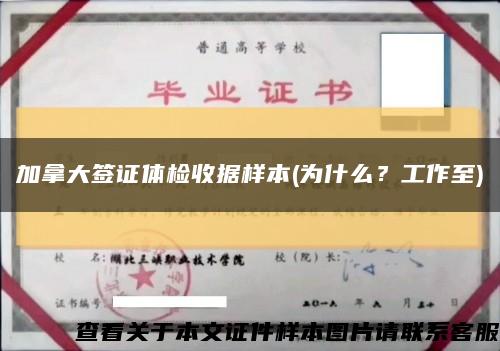 加拿大签证体检收据样本(为什么？工作至)缩略图