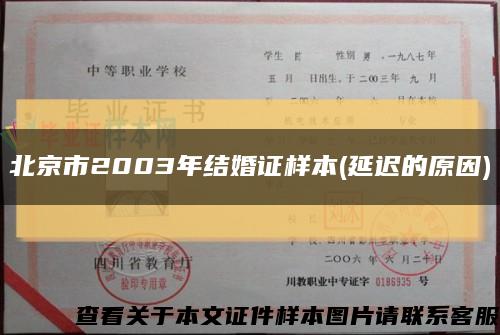 北京市2003年结婚证样本(延迟的原因)缩略图