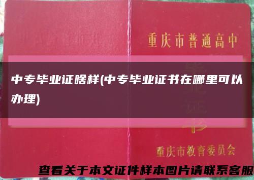 中专毕业证啥样(中专毕业证书在哪里可以办理)缩略图