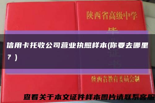 信用卡托收公司营业执照样本(你要去哪里？)缩略图