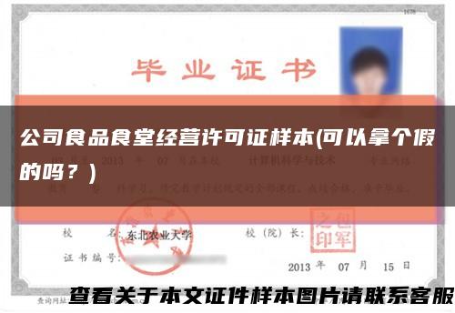 公司食品食堂经营许可证样本(可以拿个假的吗？)缩略图