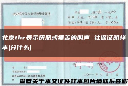 北京thr表示厌恶或痛苦的叫声 社保证明样本(分什么)缩略图