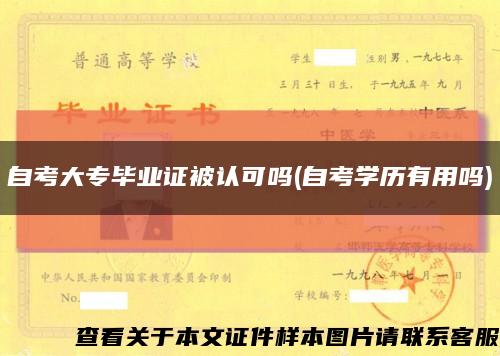 自考大专毕业证被认可吗(自考学历有用吗)缩略图