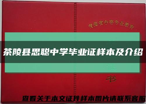 茶陵县思聪中学毕业证样本及介绍缩略图