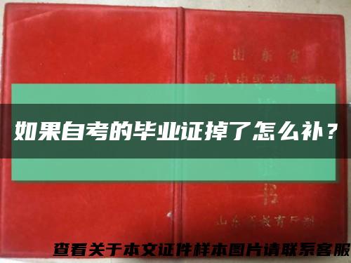 如果自考的毕业证掉了怎么补？缩略图