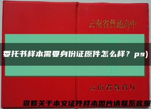 委托书样本需要身份证原件怎么样？ps)缩略图