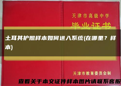 土耳其护照样本如何进入系统(在哪里？样本)缩略图