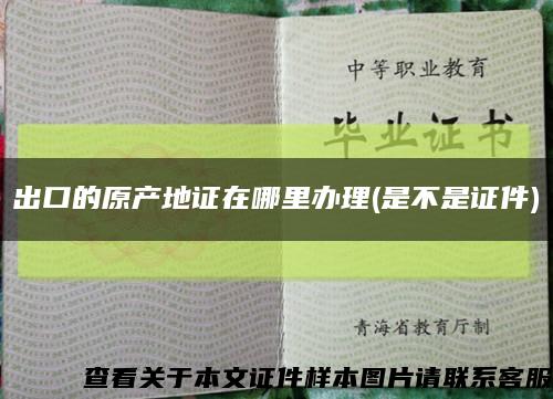 出口的原产地证在哪里办理(是不是证件)缩略图