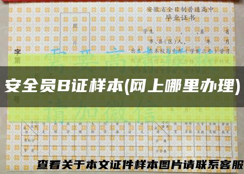 安全员B证样本(网上哪里办理)缩略图