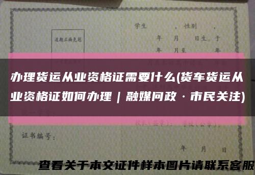 办理货运从业资格证需要什么(货车货运从业资格证如何办理｜融媒问政·市民关注)缩略图