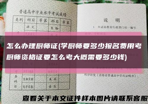 怎么办理厨师证(学厨师要多少报名费用考厨师资格证要怎么考大概需要多少钱)缩略图