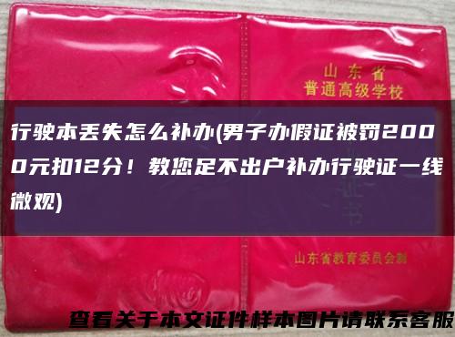 行驶本丢失怎么补办(男子办假证被罚2000元扣12分！教您足不出户补办行驶证一线微观)缩略图