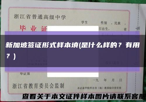 新加坡签证形式样本填(是什么样的？有用？)缩略图