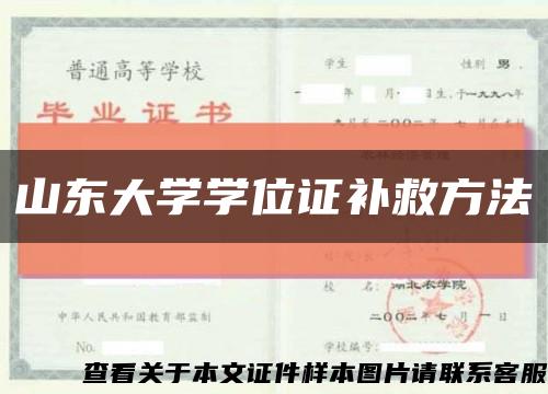 山东大学学位证补救方法缩略图