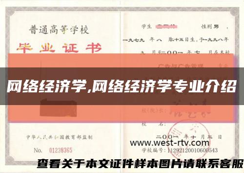 网络经济学,网络经济学专业介绍缩略图