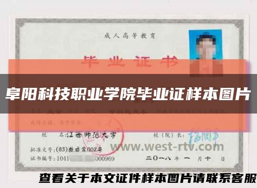 阜阳科技职业学院毕业证样本图片缩略图