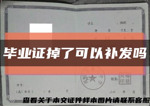 毕业证掉了可以补发吗缩略图