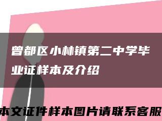 曾都区小林镇第二中学毕业证样本及介绍缩略图