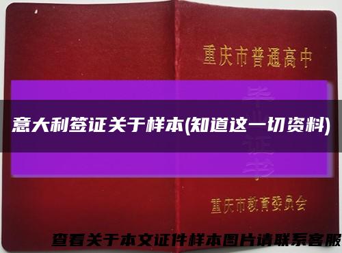 意大利签证关于样本(知道这一切资料)缩略图