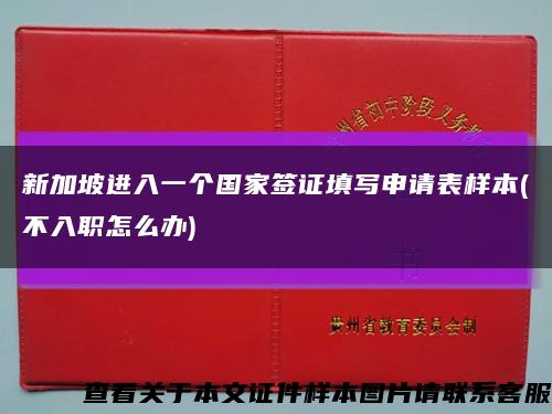 新加坡进入一个国家签证填写申请表样本(不入职怎么办)缩略图