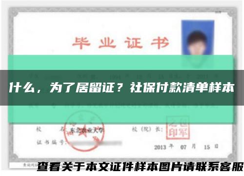 什么，为了居留证？社保付款清单样本缩略图