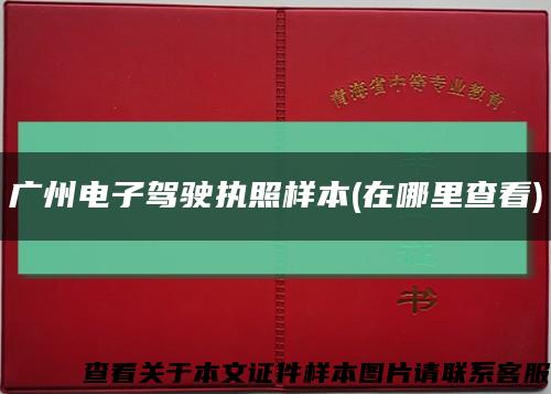 广州电子驾驶执照样本(在哪里查看)缩略图