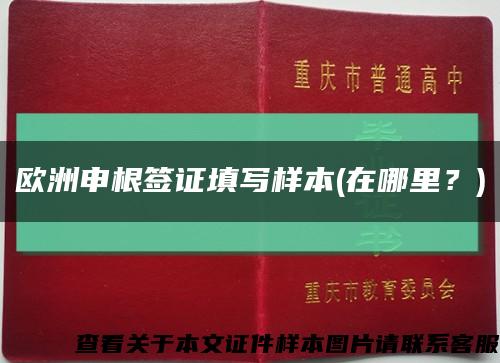 欧洲申根签证填写样本(在哪里？)缩略图