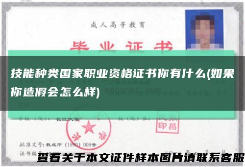 技能种类国家职业资格证书你有什么(如果你造假会怎么样)缩略图