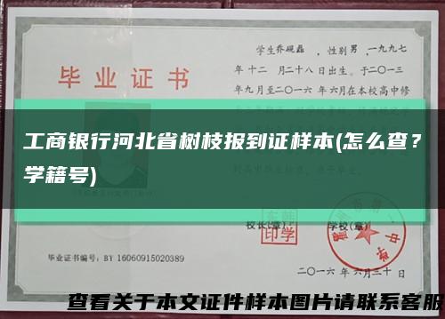 工商银行河北省树枝报到证样本(怎么查？学籍号)缩略图