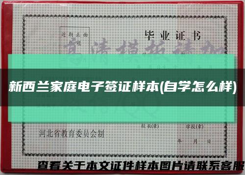 新西兰家庭电子签证样本(自学怎么样)缩略图