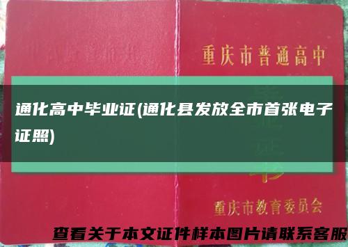 通化高中毕业证(通化县发放全市首张电子证照)缩略图