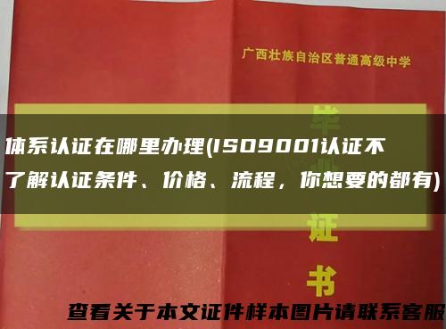 体系认证在哪里办理(ISO9001认证不了解认证条件、价格、流程，你想要的都有)缩略图