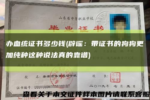 办血统证书多少钱(辟谣：带证书的狗狗更加纯种这种说法真的靠谱)缩略图