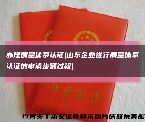 办理质量体系认证(山东企业进行质量体系认证的申请步骤过程)缩略图