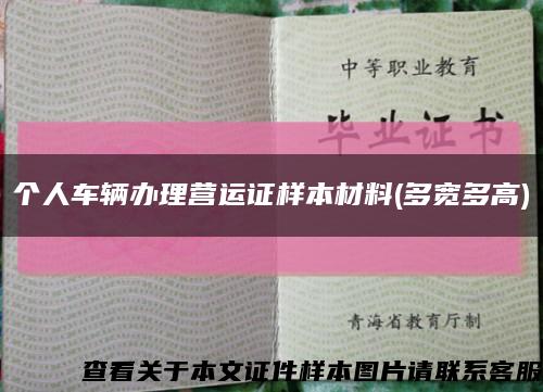 个人车辆办理营运证样本材料(多宽多高)缩略图