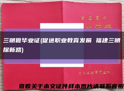 三明做毕业证(促进职业教育发展 福建三明探新路)缩略图