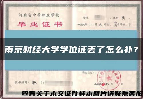 南京财经大学学位证丢了怎么补？缩略图