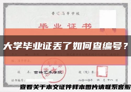 大学毕业证丢了如何查编号？缩略图