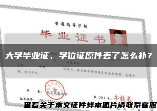 大学毕业证、学位证原件丢了怎么补？缩略图