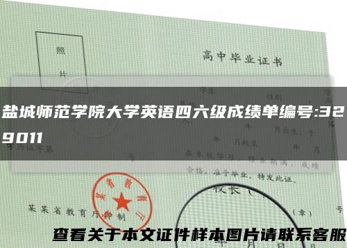 盐城师范学院大学英语四六级成绩单编号:329011缩略图