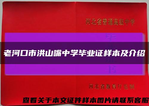 老河口市洪山嘴中学毕业证样本及介绍缩略图