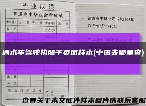 洒水车驾驶执照子页面样本(中国去哪里查)缩略图