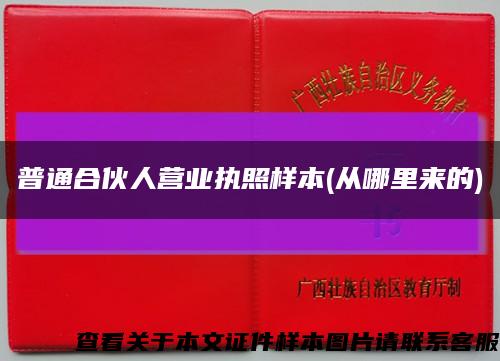 普通合伙人营业执照样本(从哪里来的)缩略图