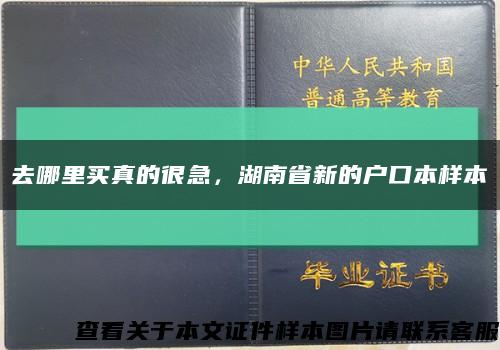 去哪里买真的很急，湖南省新的户口本样本缩略图