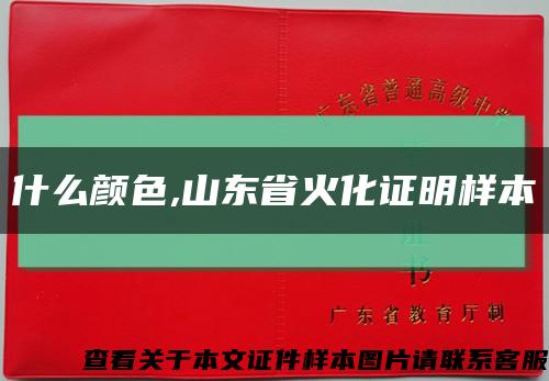 什么颜色,山东省火化证明样本缩略图