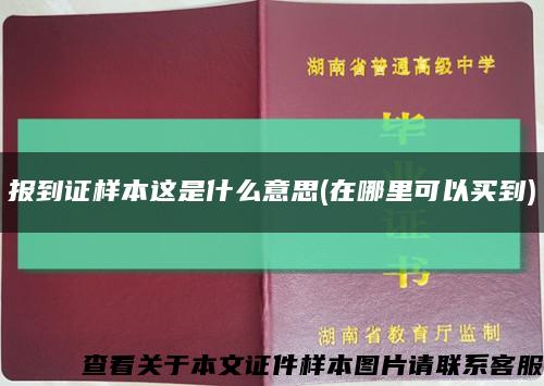 报到证样本这是什么意思(在哪里可以买到)缩略图