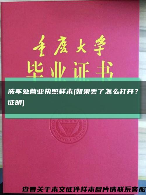 洗车处营业执照样本(如果丢了怎么打开？证明)缩略图