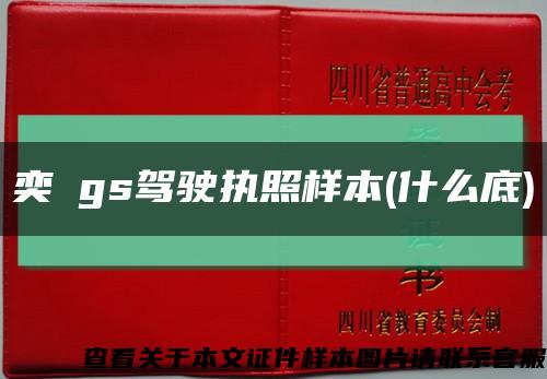 奕譞gs驾驶执照样本(什么底)缩略图