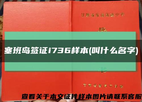 塞班岛签证i736样本(叫什么名字)缩略图