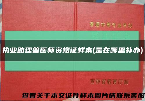 执业助理兽医师资格证样本(是在哪里补办)缩略图